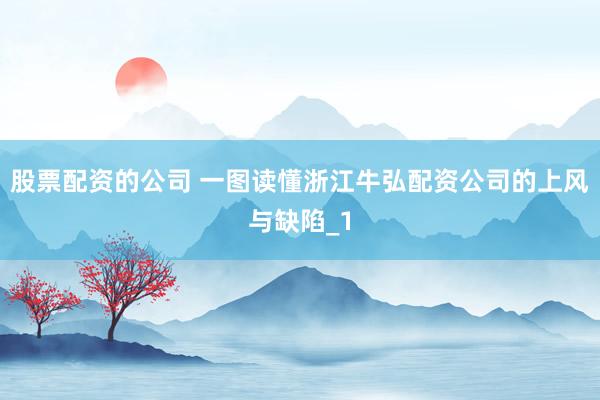 股票配资的公司 一图读懂浙江牛弘配资公司的上风与缺陷_1
