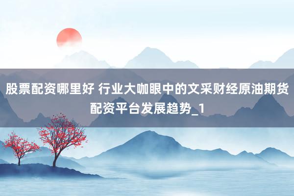 股票配资哪里好 行业大咖眼中的文采财经原油期货配资平台发展趋势_1